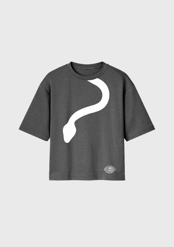 PERCEPTIONS OVERSIZED TEE